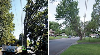 Extending pruning cycles reduces site intrusions into neighborhoods like this, leading to happier customers.