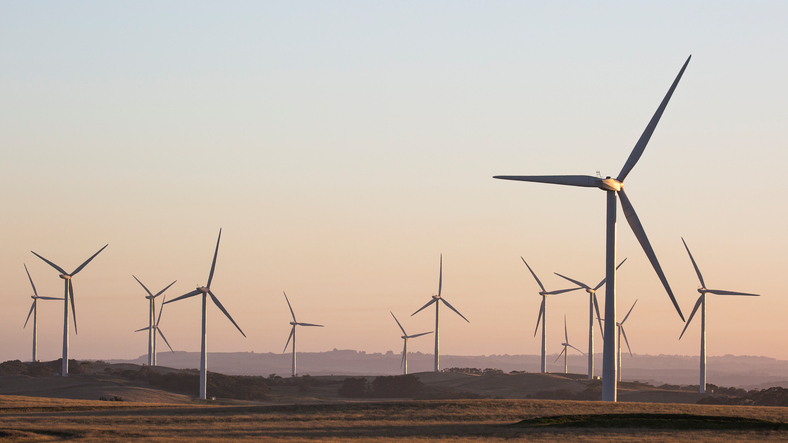 Taken early morning. Wind turbines at Bald Hills Victoria.