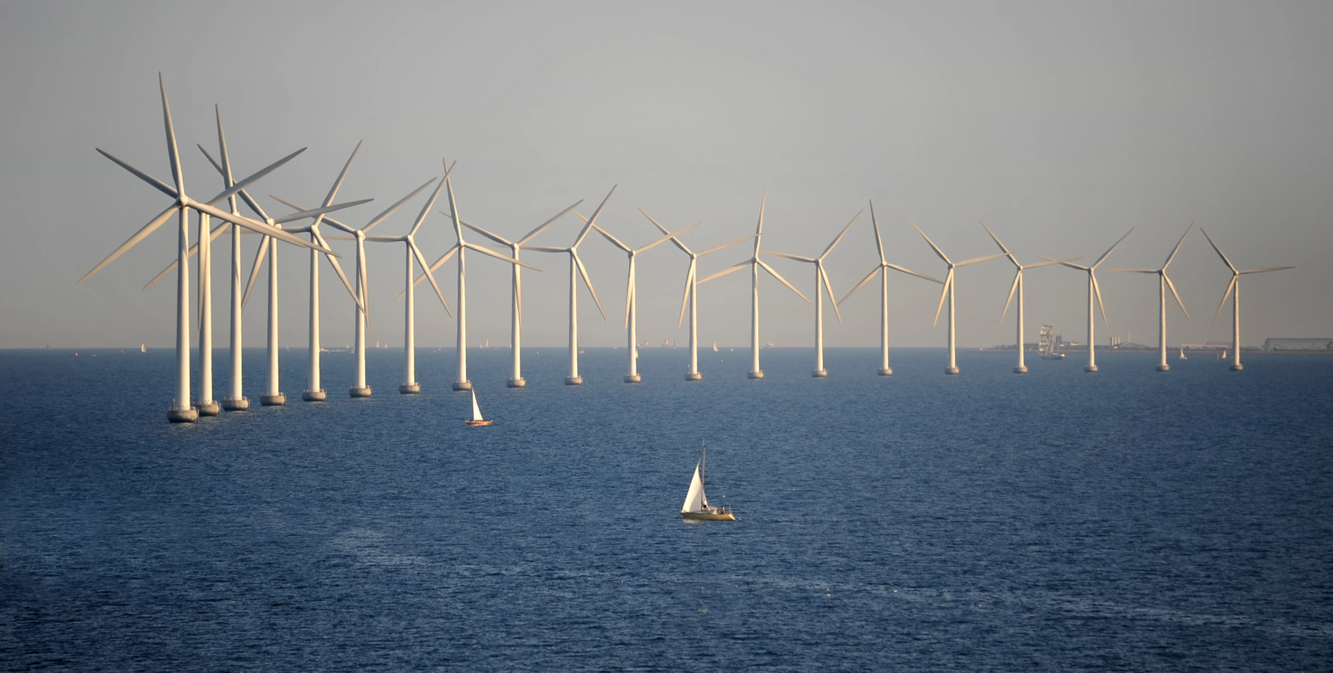 WindFarmPic