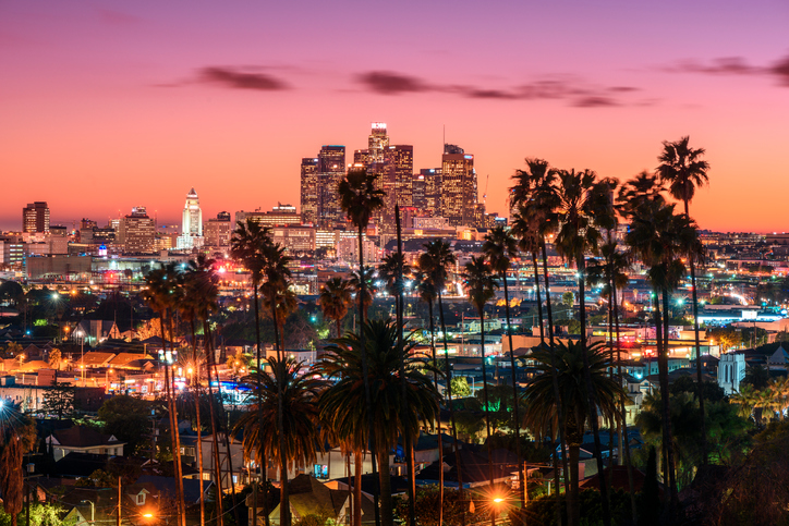 Beautiful sunset of Los Angeles downtown skyline and palm trees in foreground