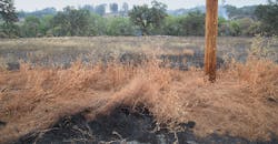 fire retardant fire retardant