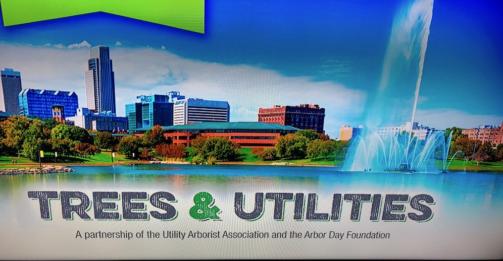 Highlights from the 2018 Trees & Utilities Conference T&D World