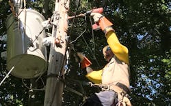 JimmyLifeline JimmyLifeline