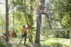 Hydro One worker Hydro One worker
