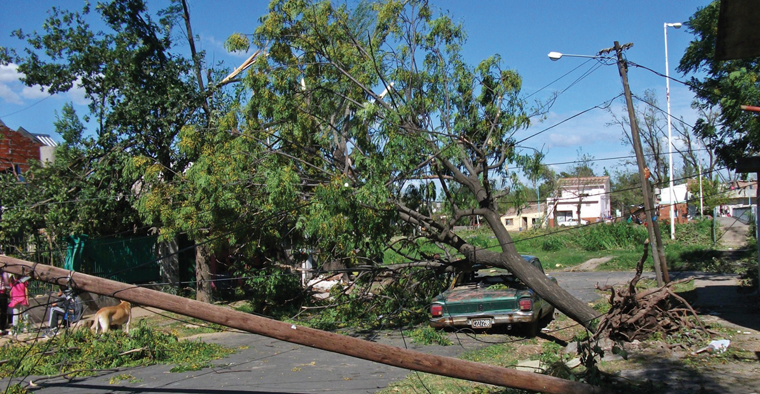 Empresa Distribuidora y Commercailizadora Norte S.A., outage planning