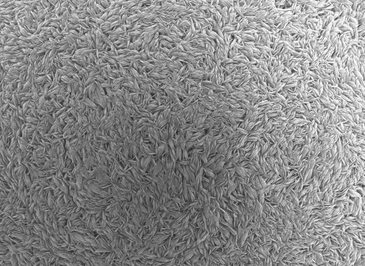Cathode precursor material