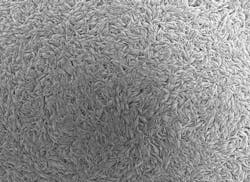 Cathode precursor material Cathode precursor material
