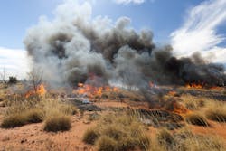 Firestick burning in outback Central Australia Firestick burning in outback Central Australia