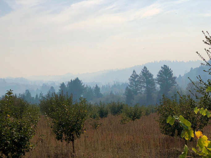 Sonoma County Fires in 2017