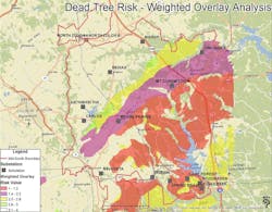 Dead Tree Risk: Weighted Overlay Analysis Dead Tree Risk: Weighted Overlay Analysis