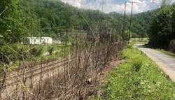 dow agroscience dow agroscience