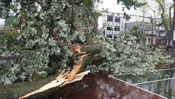 ottawa_thunderstorm_august_12_2017_weather.jpg ottawa_thunderstorm_august_12_2017_weather.jpg