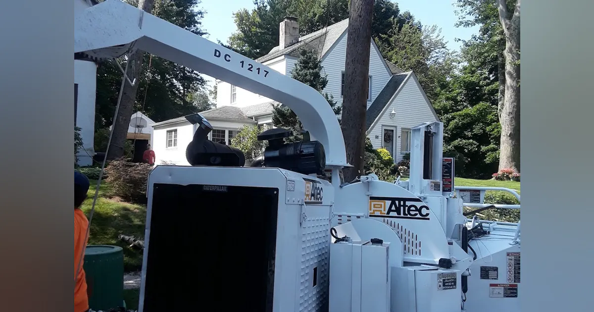 AAA Tree Service Opens New Office in New York City | TD World