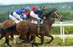 horse-marlenka.jpg horse-marlenka.jpg