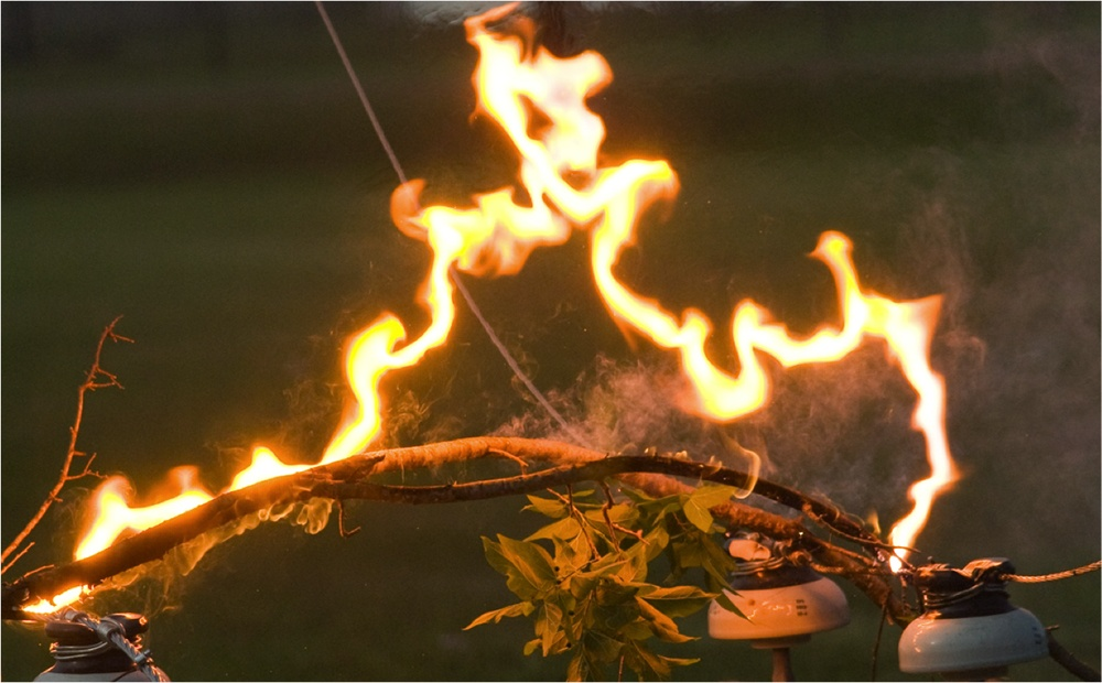 A flashover caused by vegetation on electric lines