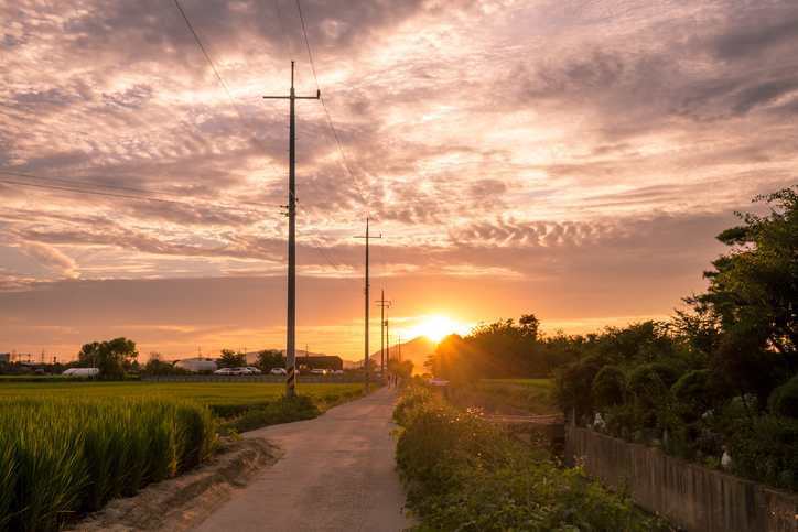 A rural landscape with electric poles and overhead lines