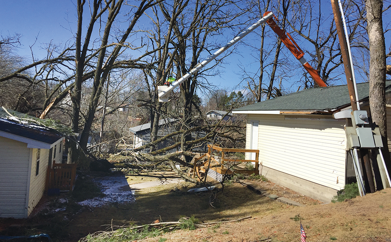 Connexus Energy, tree-related outages