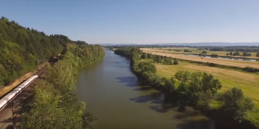 Bayer Industrial Vegetation Management T&D World