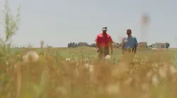Invasive Grasses