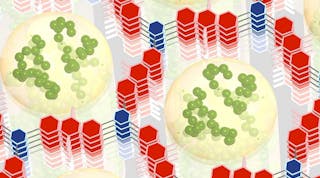 A conductive polymer (green) formed inside the small holes of a hexagonal framework (red and blue) work together to store electrical energy rapidly and efficiently.