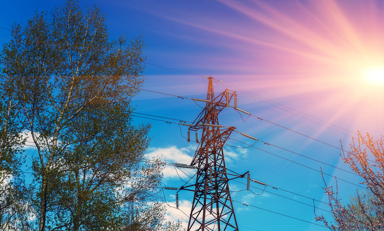 Electric power transmission lines running through dense vegetation in California