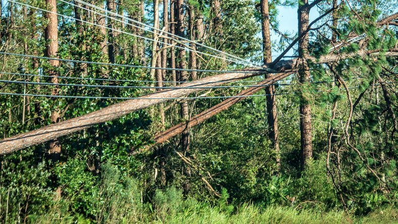 Hurricane Michael leaves behind a trail of destruction in Florida
