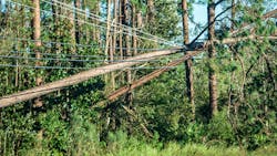 Hurricane Michael leaves behind a trail of destruction in Florida Hurricane Michael leaves behind a trail of destruction in Florida