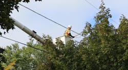fe-tree-trimming-5.jpg fe-tree-trimming-5.jpg