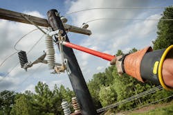 D31_3582 (1).JPG D31_3582 (1).JPG