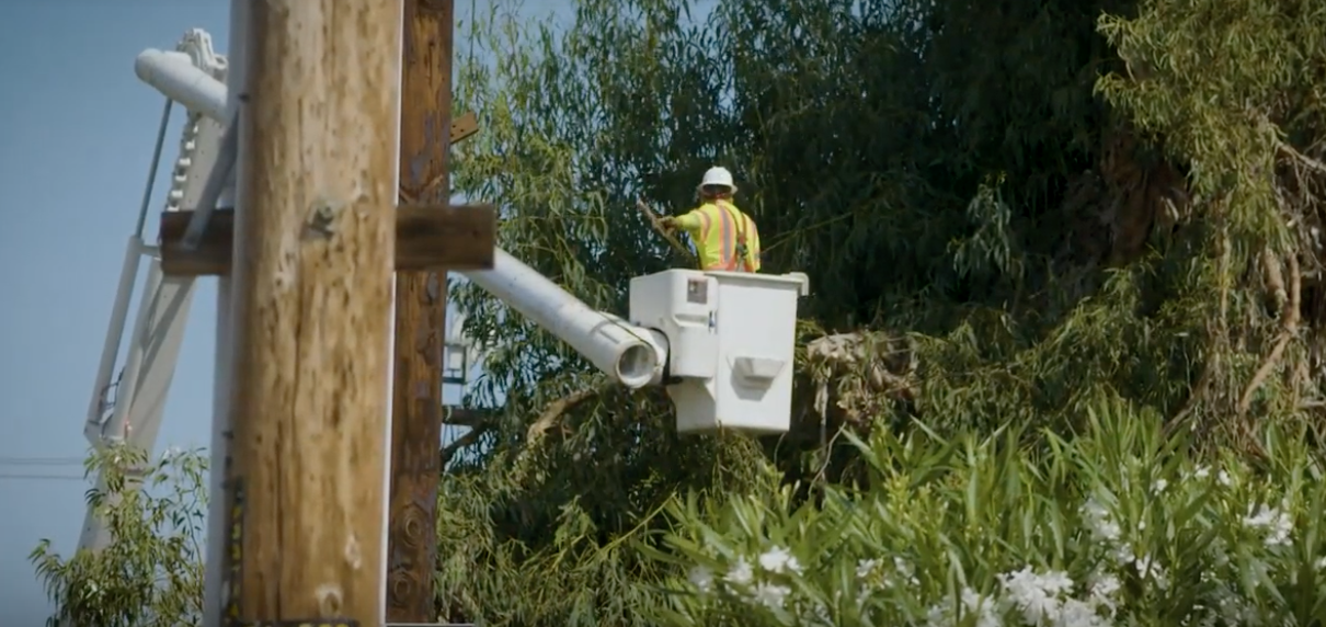 Screen Shot 2019-06-10 at 11.23.40 PM.png