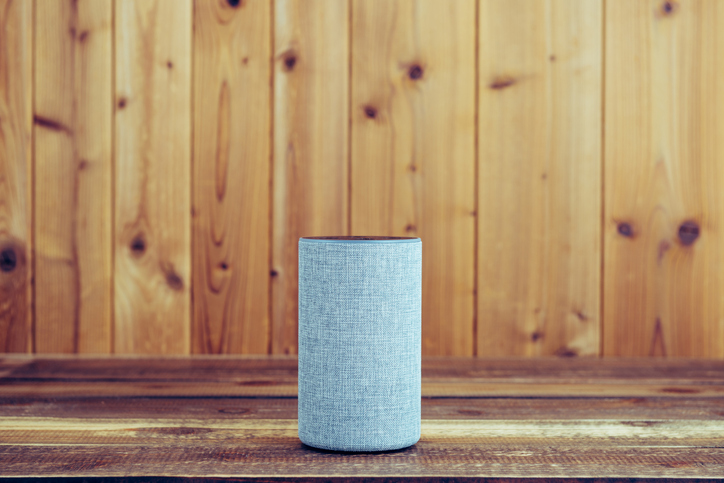 An in-home voice assistant