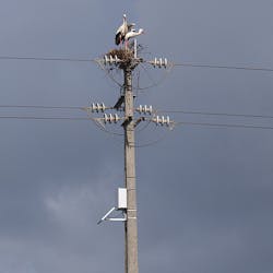 Tdworld Com Sites Tdworld com Files 905 21 Fig16main Tdworld Com Sites Tdworld com Files 905 21 Fig16main