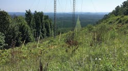 Alabama Power estimates that in the past three years, it has used dormant-stem treatments on more than 52,000 right-of-way acres.