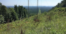 Alabama Power has used dormant-stem treatments on more than 52,000 right-of-way acres in the past three years Alabama Power has used dormant-stem treatments on more than 52,000 right-of-way acres in the past three years