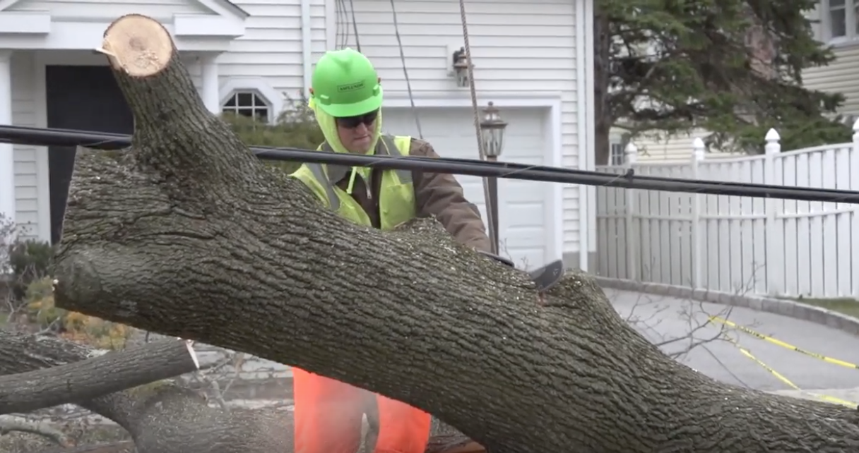 Screen Shot 2019-07-08 at 6.38.34 AM.png