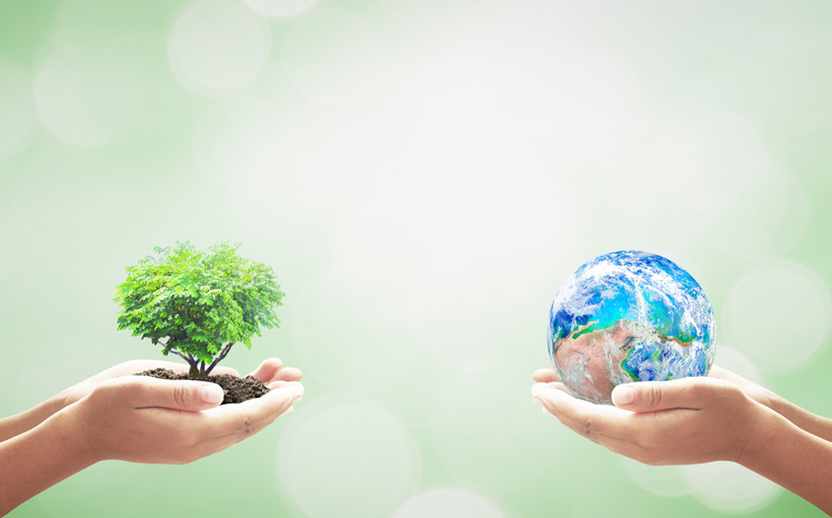 Hands holding a miniature tree and a miniature globe