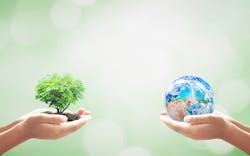 Hands holding a miniature tree and a miniature globe Hands holding a miniature tree and a miniature globe