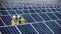 solar-dogwood_mid.jpg solar-dogwood_mid.jpg