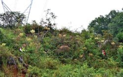 Tdworld Com Sites Tdworld com Files 906 42 Graphic2 Tdworld Com Sites Tdworld com Files 906 42 Graphic2