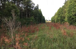 Tdworld Com Sites Tdworld com Files 906 43 Vm Image2 Tdworld Com Sites Tdworld com Files 906 43 Vm Image2