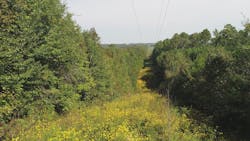 Tdworld Com Sites Tdworld com Files 906 43 Vm Image3 Tdworld Com Sites Tdworld com Files 906 43 Vm Image3