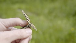 Tdworld Com Sites Tdworld com Files Image 01 2 Tdworld Com Sites Tdworld com Files Image 01 2