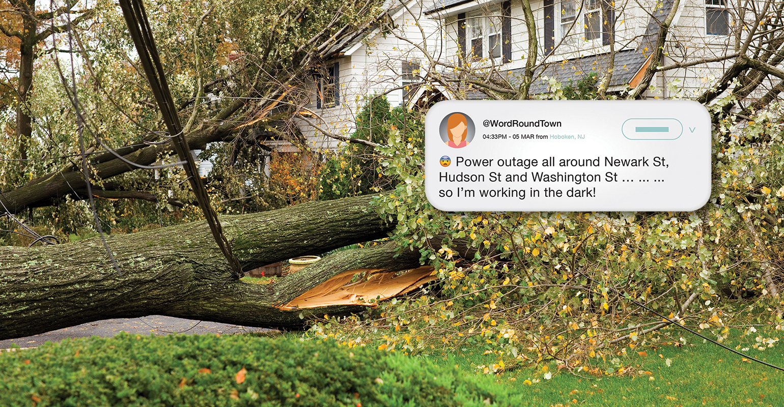Fallen and damaged trees on power lines