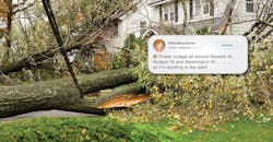 Fallen and damaged trees on power lines Fallen and damaged trees on power lines