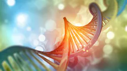 A colorful representational image of a DNA strand