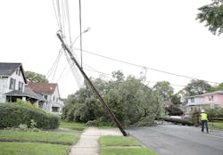 48358365882_a41bc31d19_k.jpg 48358365882_a41bc31d19_k.jpg