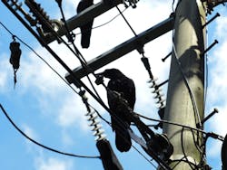 image006 (1).jpg image006 (1).jpg