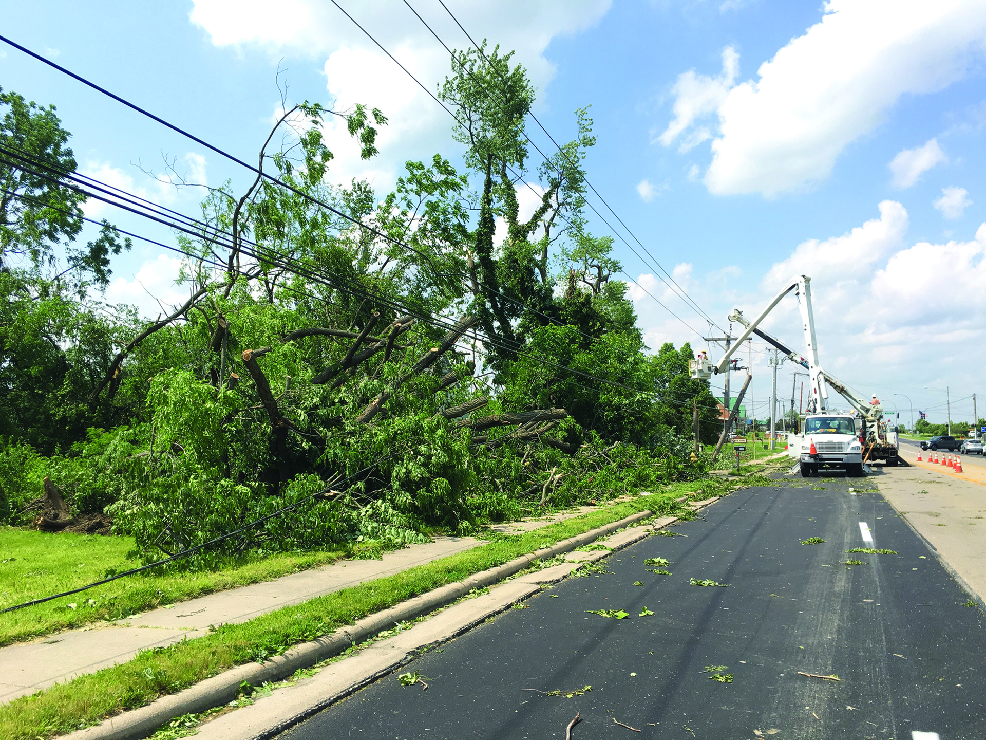 Poles alongside the road being brought down