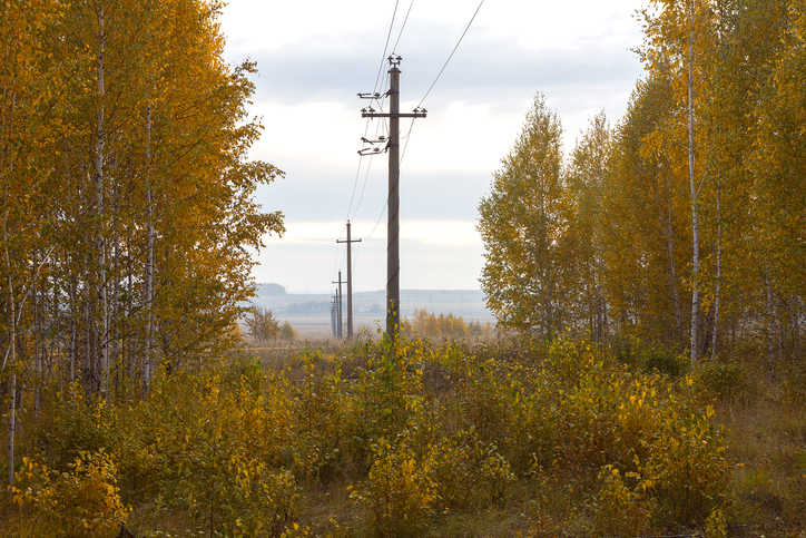 A rural landscape showing electric poles and overhead lines
