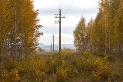 A rural landscape showing electric poles and overhead lines A rural landscape showing electric poles and overhead lines